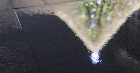 Christmas tree reflection Stock-Footage 121632301