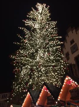 Christmas Tree At Roemerberg Market, Frankfurt, Germany, December 17, 2016 Stock Photos