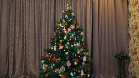 Christmas tree in the room Stock Footage 84561537