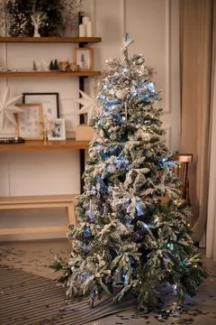 Christmas tree in room Stock Photos