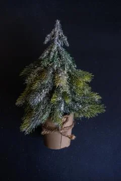 Christmas tree on rustic background Stock Photos