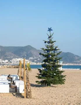 Christmas tree on sand beach Stock Photos