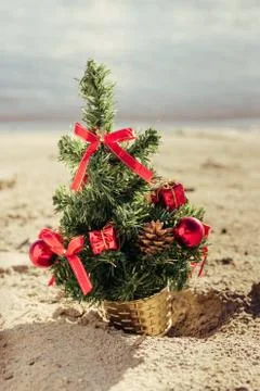 Christmas tree on the sandy beach Stock Photos