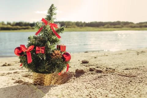 Christmas tree on the sandy beach Stock Photos