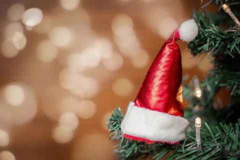 Christmas tree in Santa hat Stock Photos