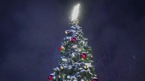 Christmas tree with scroll. Stock Footage 257137014