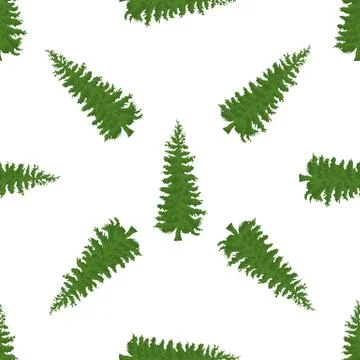 Christmas tree seamless pattern. High detailed fir tree texture. Vector Stock Illustration