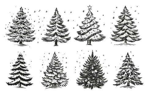 Christmas tree set on white. Hand drawn illustration. Stock Illustration
