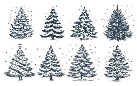 Christmas tree set on white. Hand drawn illustration. Stock Illustration