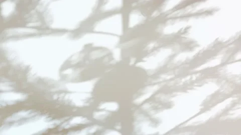Christmas tree shadow on the wall with decorations Stock Footage 164315892