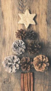 Christmas tree shape of pine cones Stock Photos