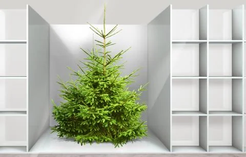 Christmas tree on the shelf Stock Photos