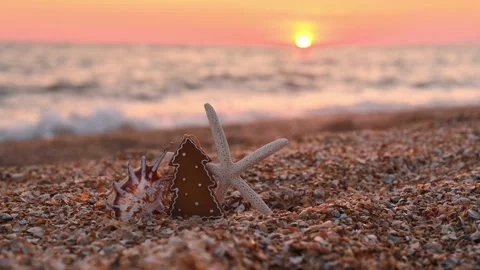 Christmas tree shell and starfish on the seashore. Christmas night Video stock 252223683