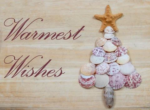 Christmas Tree of Shells Fotos de archivo