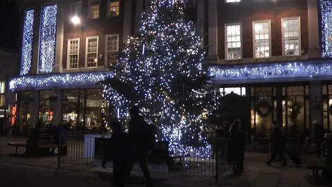 Christmas Tree Shoppers Stock Footage 104349644