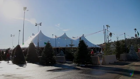 Christmas Tree shopping Stock Footage 82723362