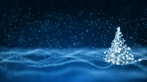 Christmas Tree In Showfield Video stock 568258