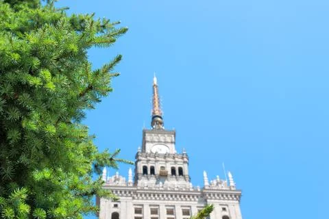 Christmas tree on sky background Stock Photos