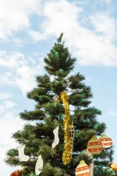 Christmas tree with sky in background. Stock Photos