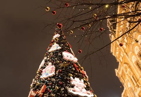 Christmas tree on the sky background Stock Photos