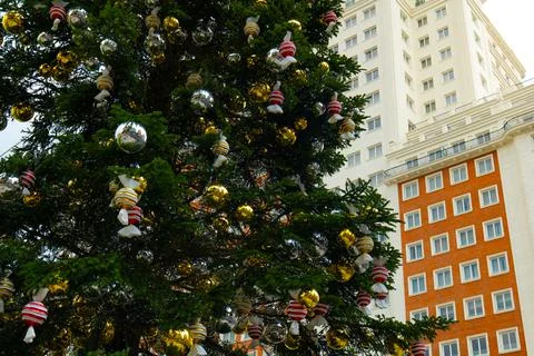 Christmas tree with a skyscraper in the background Stock Photos