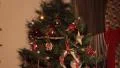 Christmas Tree Slide HD Footage