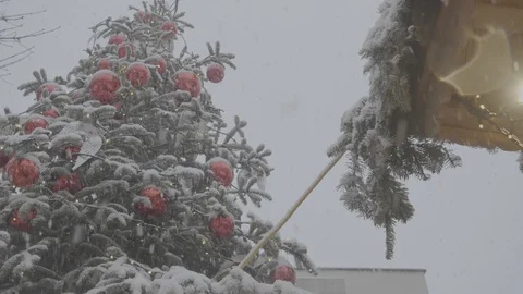 Christmas Tree in the Snow 4k Stock Footage 124574786