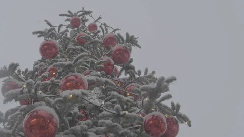 Christmas Tree in the Snow 4k Video stock 124576674