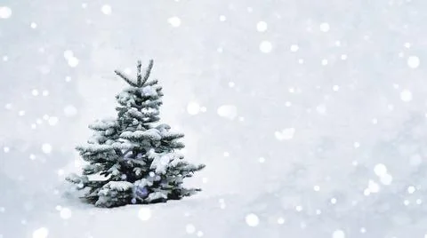 A Christmas tree with snow on the branches in an open space stands in a snowfall Stock Photos