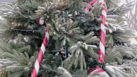 Christmas tree in the snow decorated with large candy hooks. Stock Footage 324904028