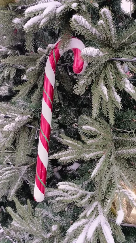 Christmas tree in the snow decorated with large candy hooks Stock Footage 324904305