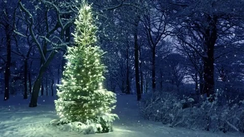 Christmas tree snow falling winter season scene animation video footage Stock Footage 255684553