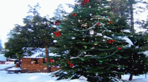 Christmas Tree in Snow Stock Footage 8914776