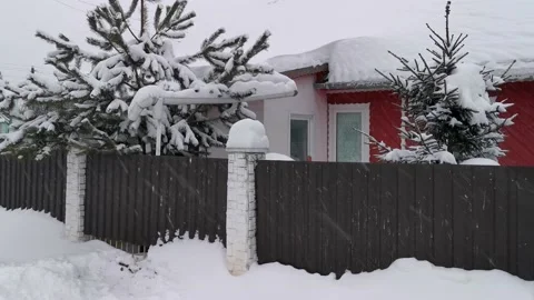 Christmas tree in the snow Stock Footage 230107490