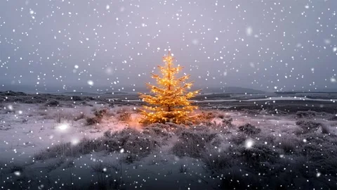 Christmas tree. Snow forest. Snowfall in the mountains. Falling snowflakes. Stock Footage 270835621