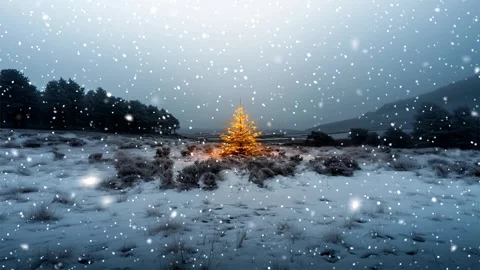 Christmas tree. Snow forest. Snowfall in the mountains. Falling snowflakes. Stock Footage 270835626