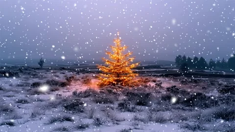 Christmas tree. Snow forest. Snowfall in the mountains. Falling snowflakes. Stock Footage 270835633