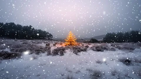 Christmas tree. Snow forest. Snowfall in the mountains. Falling snowflakes. Stock Footage 270836142
