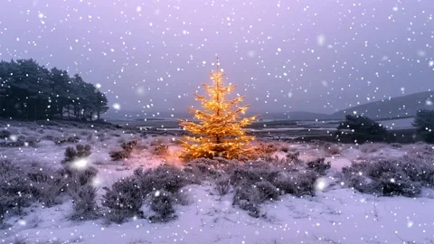 Christmas tree. Snow forest. Snowfall in the mountains. Falling snowflakes. Stock Footage 270836172
