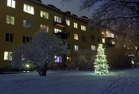 Christmas Tree in Snow Stock Photos