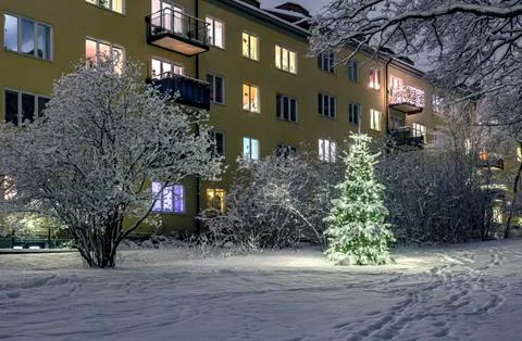 Christmas Tree in Snow Stock Photos