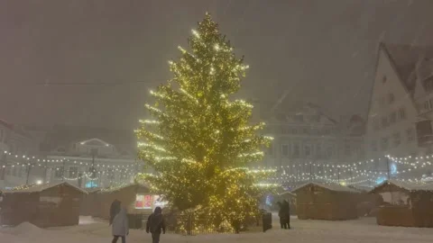 Christmas Tree in a Snowstorm Stock-Footage 225635429