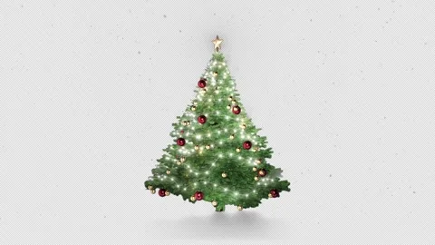 Christmas tree with snowy background Loop With Alpha channel prores Stock Footage 259336003