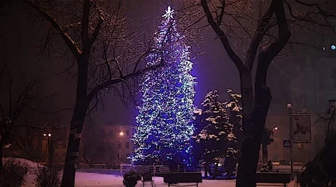 Christmas Tree in Snowy Night Stock Footage 61750342