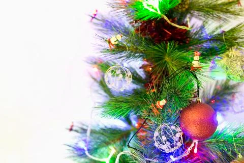 Christmas tree with space for text. Stock Photos