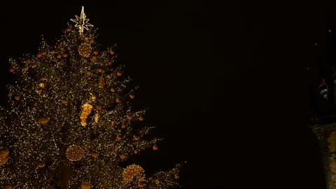 Christmas tree sparkling in prague's old town square at night Stock Footage 333237733