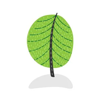 Christmas tree. Spruce, Evergreen tree on hillock in forest. Green tree in Stock Illustration