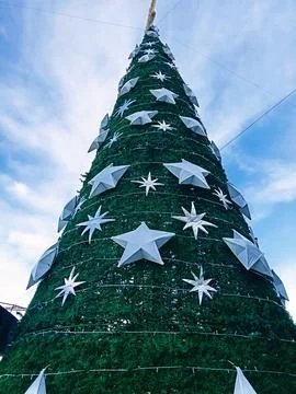 Christmas tree in the square Photos