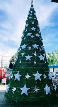 Christmas tree in the square Photos