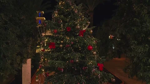 Christmas tree standing on the main square decorated and illuminated Stock Footage 230913105